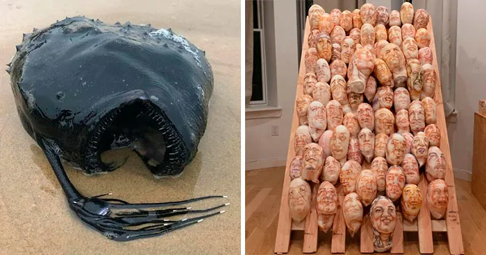 65 Really Weird And Slightly Creepy Photos That Might Give You The Heebie-Jeebies