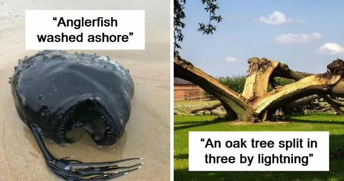 65 Really Weird And Slightly Creepy Photos That Might Give You The Heebie-Jeebies