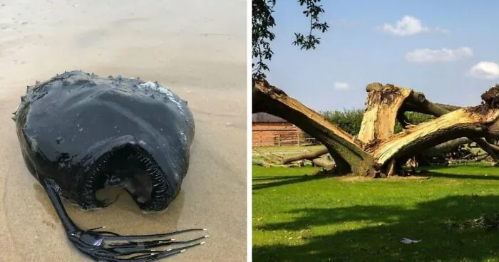 65 Times Folks Experienced Something Really Creepy That They Just Had To Share With Everyone