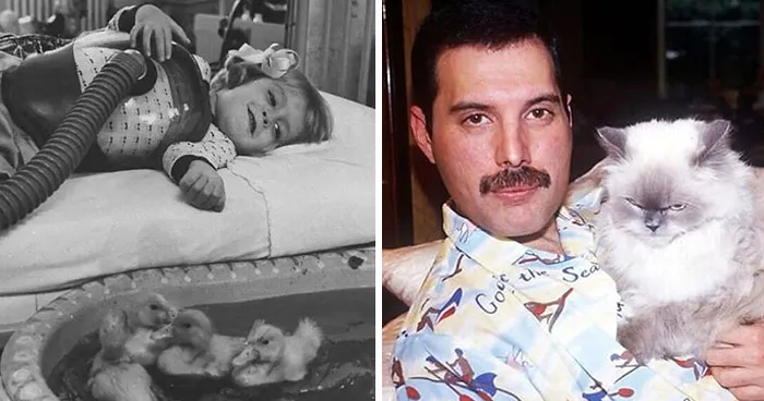 80 Fascinating Photos That Teach About History In A Way School Can’t