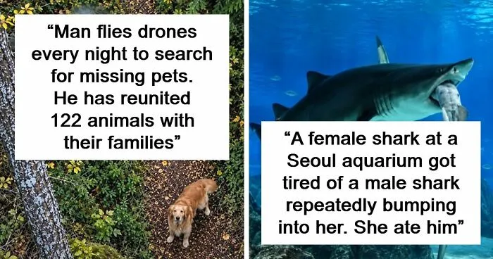 63 Wholesome Facts That Might Make The World Feel A Little Less Terrible