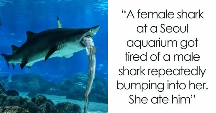 63 Wholesome Facts That Might Make The World Feel A Little Less Terrible