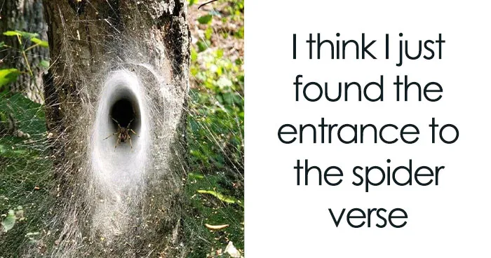 71 Cool Internet Finds That Made All That Scrolling Feel Worthwhile