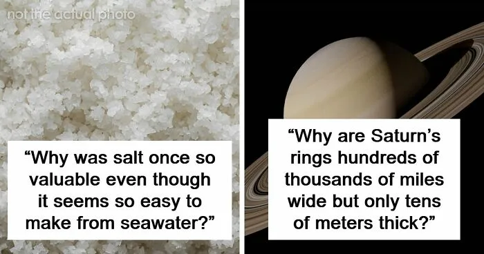 42 Interesting Questions You Didn’t Know You Had But People Already Answered
