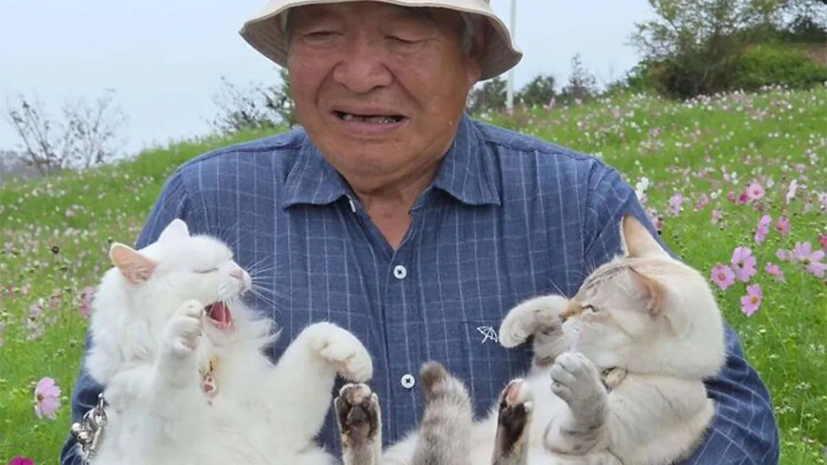 This Grandpa Takes His Adorable Cats To Lovely Scenery, But They Keep Fighting Instead Of Posing (20 Pics)