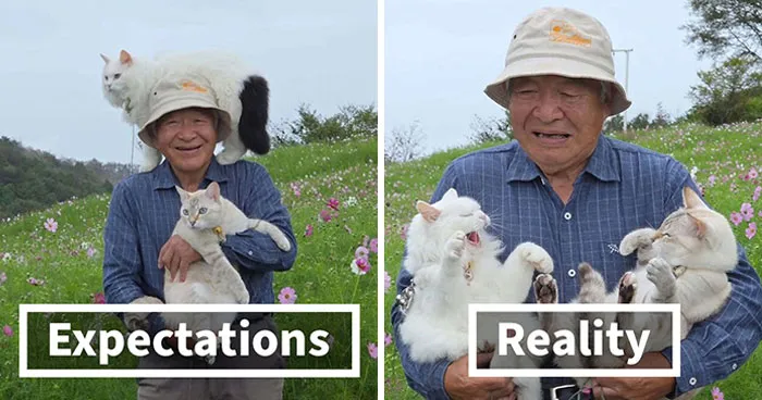 This Grandpa Takes His Adorable Cats To Lovely Scenery, But They Keep Fighting Instead Of Posing (20 Pics)
