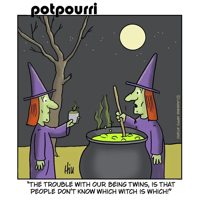 Twin witches stirring a cauldron in a humor-filled one-panel comic by Laughing Hippo Studio.