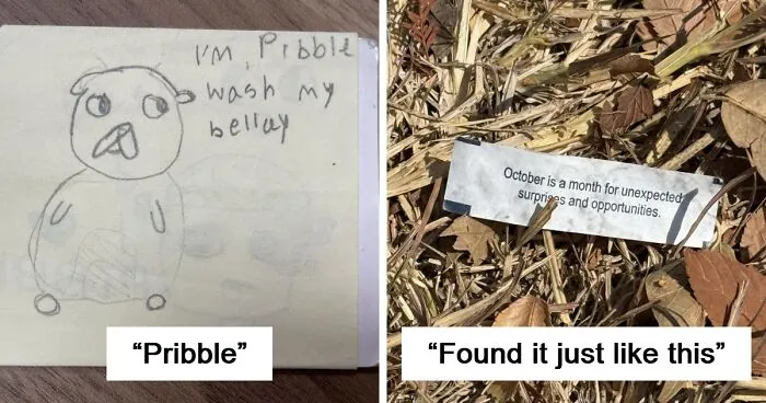 “Found Paper”: 50 Lost And Forgotten Messages That People Discovered Out In The World
