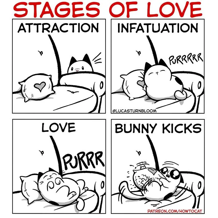 Four-panel comic showing relatable cat behaviors as stages of love, ending in playful bunny kicks, by Lucas Turnbloom.