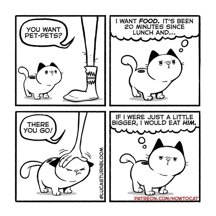 Funny comic showing relatable cat behaviors as a cat demands food instead of pets from its owner
