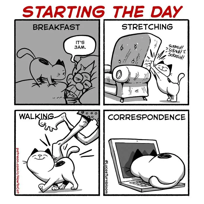 Lucas Turnbloom comic depicting relatable cat behaviors like waking owners at 3am and sitting on laptops.