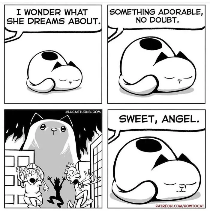 Four panel comic about relatable cat behaviors by Lucas Turnbloom showing a sweet sleeping cat dreaming of destruction.