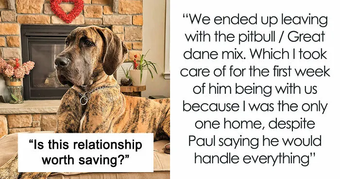 Guy Adopts His "Dream Dog" While GF Is Recovering From Surgery, It Becomes Eye-Opening For Her