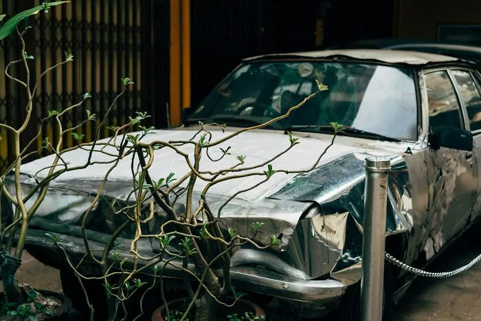 Crashed and dented car partially hidden behind tree branches