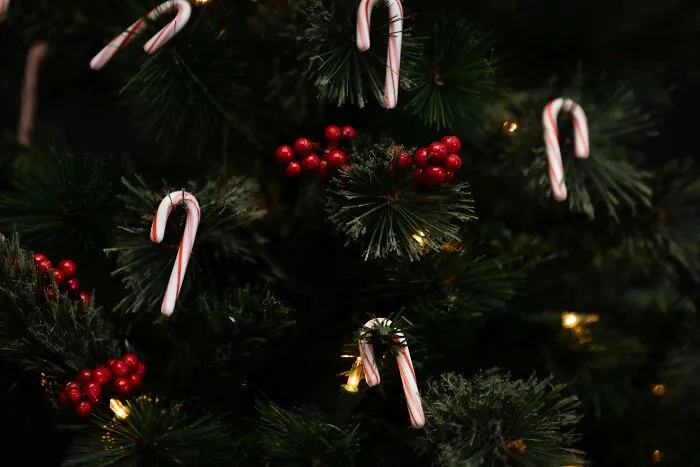 Candy canes on a Christmas tree, symbolizing holiday memories with narcissistic parents.