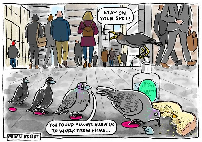 Cartoon of pigeons discussing work from home with bird beak sanitizer in cartoon