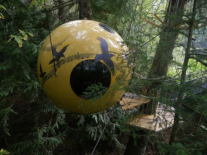 Free Spirit Spheres treehouse in a forest, demonstrating how bizarre shapes elevate ordinary architecture