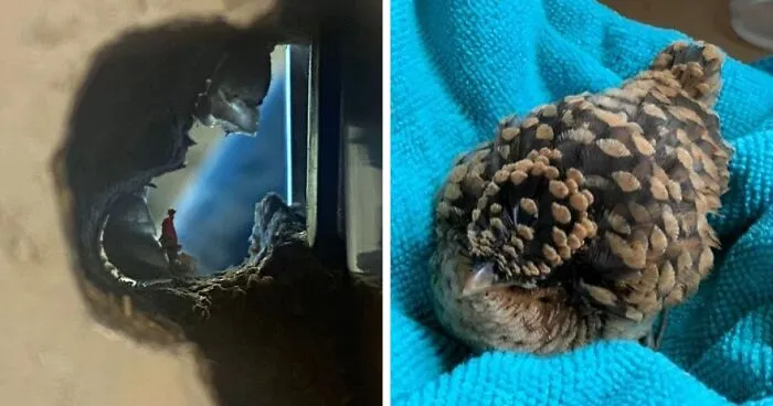 These 101 Photos Might Make You Wonder If Your Eyes Are Playing Tricks On You