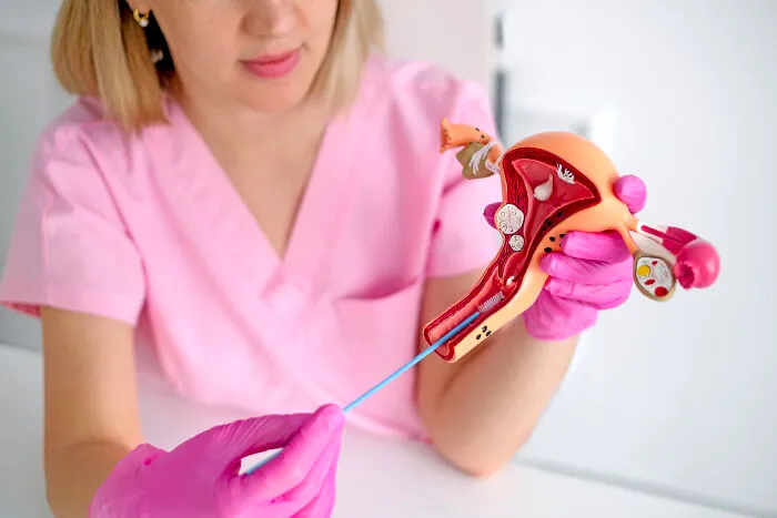 A medical professional holding an anatomical model, demonstrating care that impacts client trust.