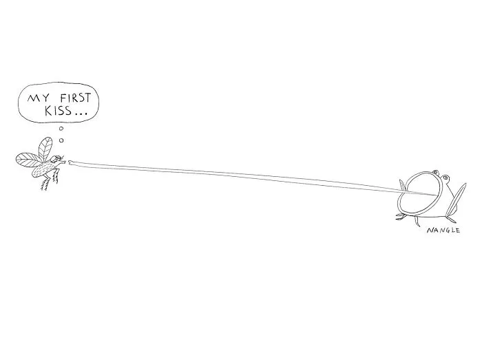 32 Witty Cartoons By Jared Nangle That Capture Life’s Little Absurdities