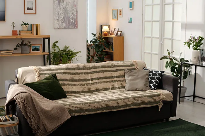 A cozy modern living room in someone's home with a couch and house plants.