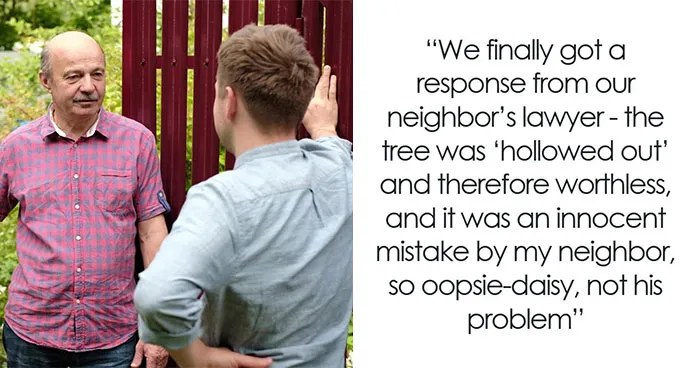 Guy Learns About Tree Law The Hard Way After Stealthily Cutting Down Neighbor's 89-Year-Old Tree