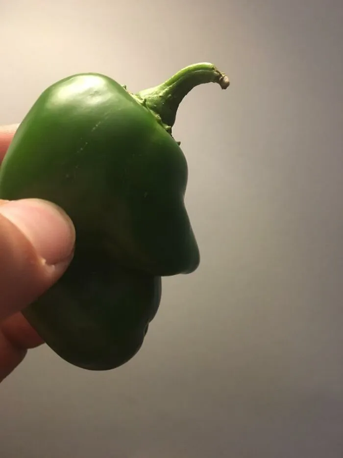 A green bell pepper shaped like a side profile face, creating a confusing photo illusion.