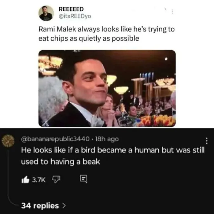 Social media screenshot sharing funny insults comparing Rami Malek's expression to a bird.
