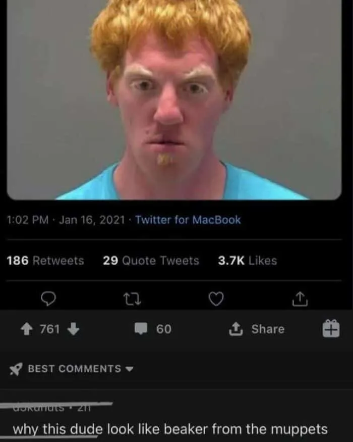 A mugshot with funny insults on social media comparing the man to Beaker from the Muppets