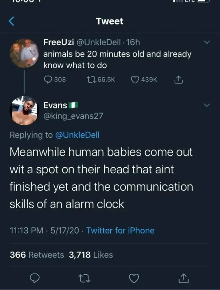 Oddly-Accurate-Insults-Posts