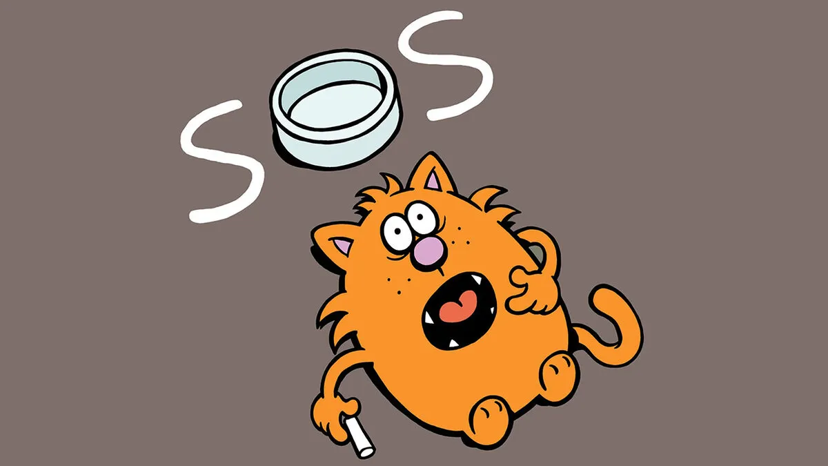 "Learn To Speak Cat": 30 New One-Panel Comics Depicting The Daily Life Of A Cat