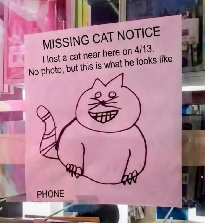 A missing cat notice with a poorly drawn cartoon cat posted on a window, capturing absurd signs.