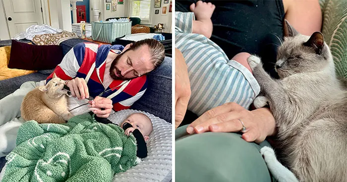 45 Adorable Photos Of Pets Looking After Babies, Shared By People Online