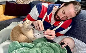 45 Adorable Photos Of Pets Looking After Babies, Shared By People Online