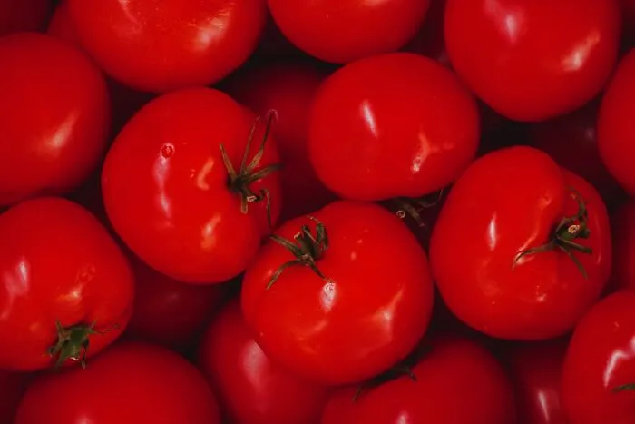 Fresh ripe red tomatoes, illustrating a slip-up in food processing or shipping