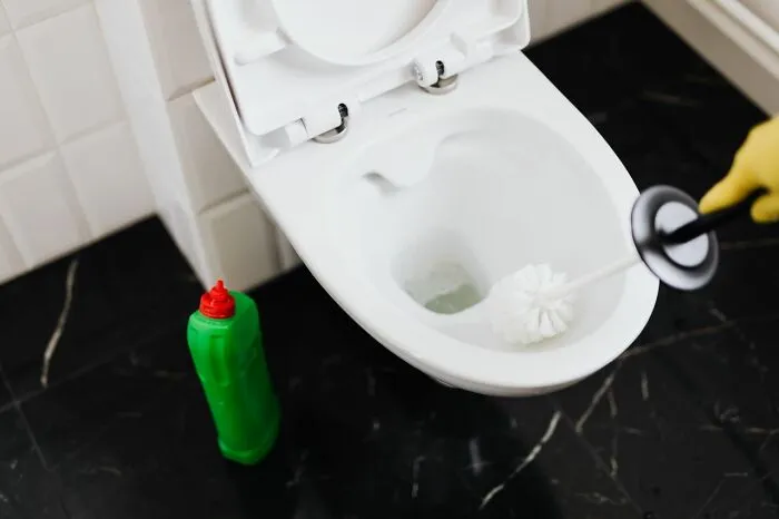 Toilet cleaning with brush and cleaner as a practical life hack for bathroom hygiene