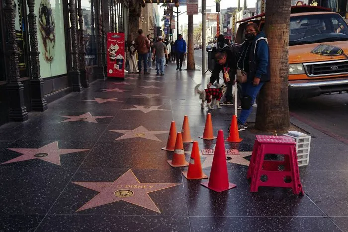 The Hollywood Walk of Fame with orange traffic cones, showcasing real-world vs Hollywood movie expectations.