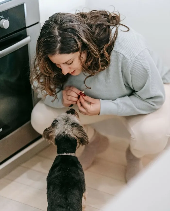 Woman crouching to interact with small dog in kitchen, home pet bonding