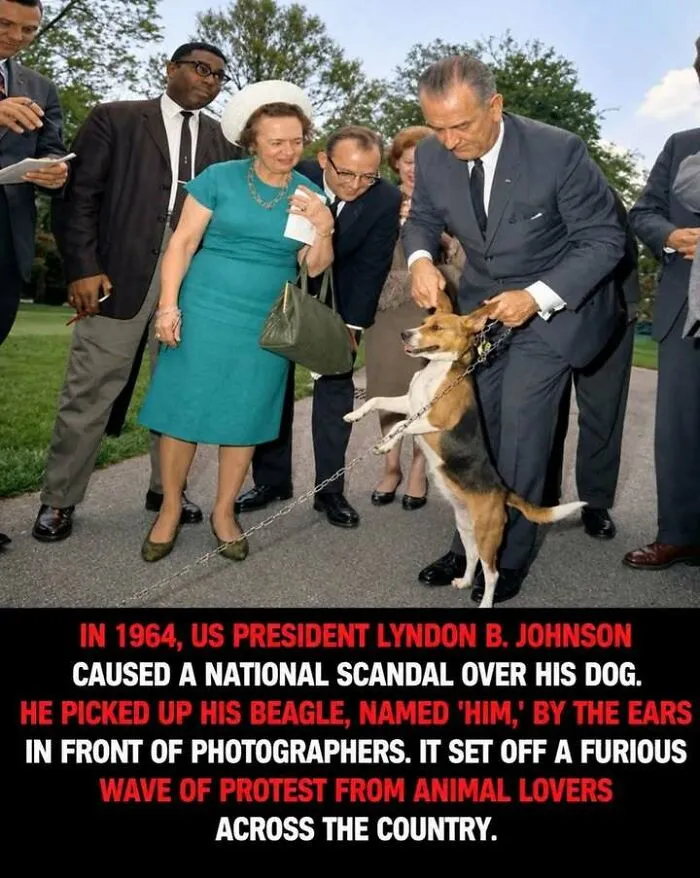 President Lyndon B Johnson caused scandal by picking up beagle dog by ears in 1964