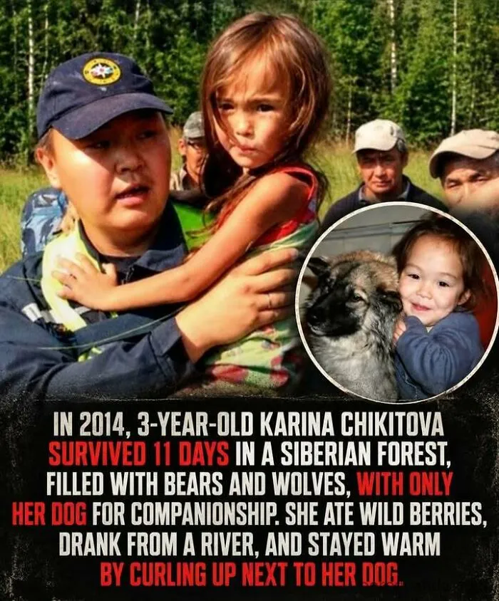Karina Chikitova survived 11 days in Siberian forest with dog