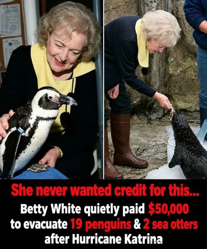 Betty White helped evacuate penguins and sea otters after Hurricane Katrina weird facts