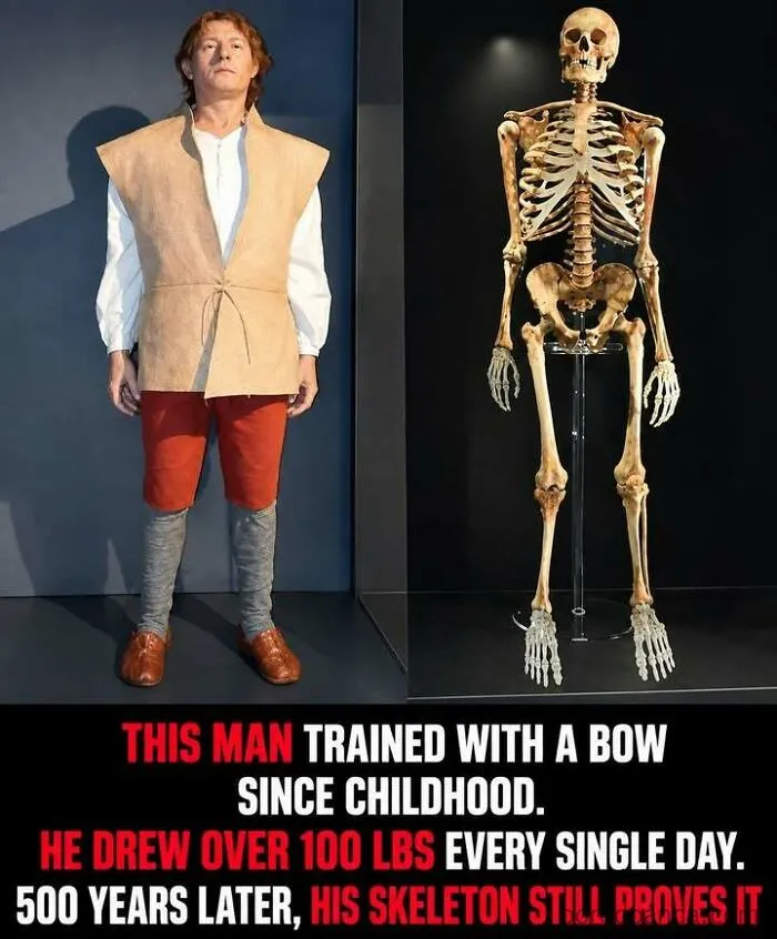 Man trained with bow daily, drawing 100 lbs, proven by skeleton 500 years later