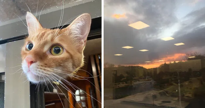 90 Times People Spotted Something That Made Them Think We Live In A Simulation