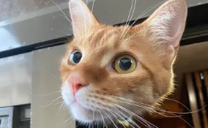 90 Times People Spotted Something That Made Them Think We Live In A Simulation