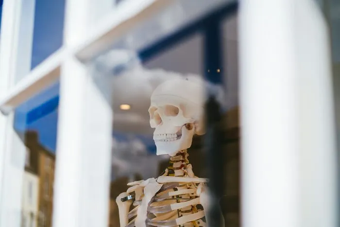 A human skeleton model seen through a window, referencing Hollywood tropes.