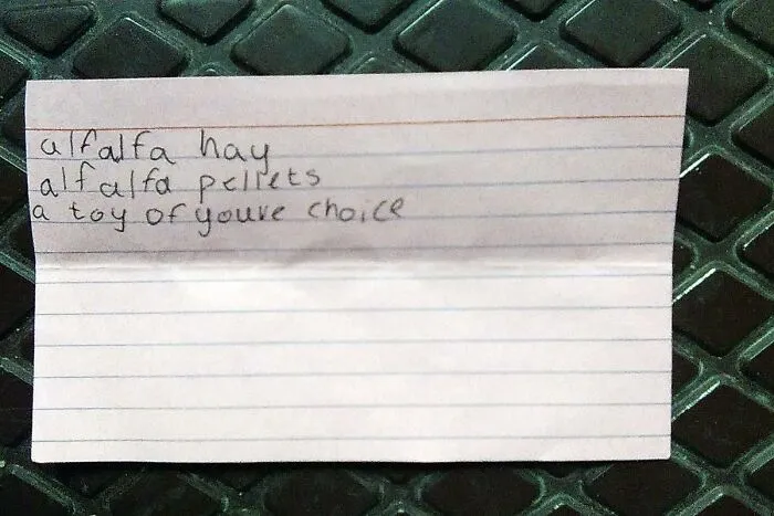 Handwritten note on found paper listing alfalfa hay, pellets, and a toy.