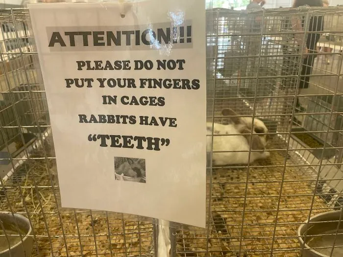 Warning sign at a rabbit cage showing people misused quotation marks around TEETH.