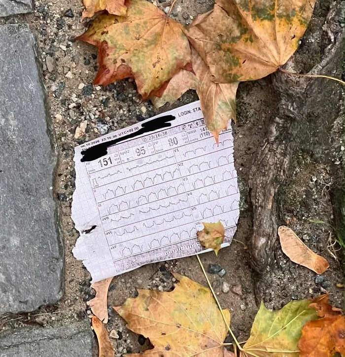 A printout of an ECG heart monitor reading on found paper lying outdoor among autumn leaves.