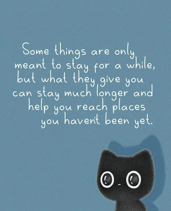 Clever cat illustration by Luis Coelho showing a black cat looking up next to a thoughtful message.