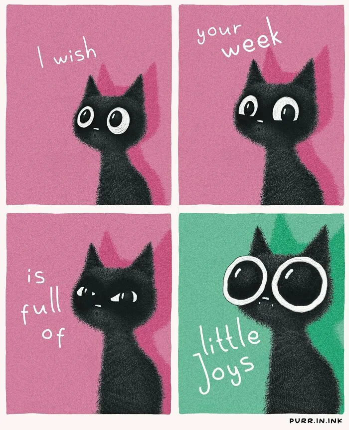 A four-panel comic of a black cat with big eyes from cat illustrations by Luis Coelho.